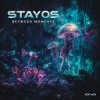 封面 Stayos - Tov Li (Original Mix) Stayos - Tov Li (Original Mix)