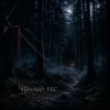 封面 Ведьмина гора - Чёрный лес (extended) Ведьмина гора - Чёрный лес (extended)