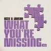 封面 BCee & Javeon - What You're Missing BCee & Javeon - What You're Missing