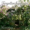 封面 Калымщик - Forgotten happiness Калымщик - Forgotten happiness