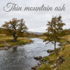 封面 Калымщик - Thin mountain ash Калымщик - Thin mountain ash