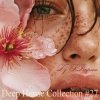 封面 Dj S.Isupova - Deep House Collection #27 Dj S.Isupova - Deep House Collection #27
