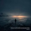 ViTaLiKuS - COLD EUPHORIA (Extended Mix)