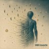 封面 ViTaLiKuS - SONDER (Extended Mix) ViTaLiKuS - SONDER (Extended Mix)