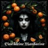 封面 DJ Katya Kadykov - Eine kleine Mandarine DJ Katya Kadykov - Eine kleine Mandarine