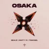 封面 BEAUZ & Party Pi & triangel - OSAKA BEAUZ & Party Pi & triangel - OSAKA
