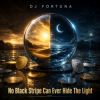 封面 DJ FORTUNA - No Black Stripe Can Ever Hide The Light DJ FORTUNA - No Black Stripe Can Ever Hide The Light