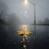 封面 Роман - ОСЕНЬ Роман - ОСЕНЬ