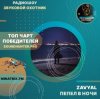 封面 ZAVYAL - Пепел в ночи ZAVYAL - Пепел в ночи