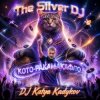 封面 DJ Katya Kadykov - Кото - Ракамакафло DJ Katya Kadykov - Кото - Ракамакафло