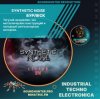 封面 Synthetic Noise - Бурлеск Synthetic Noise - Бурлеск