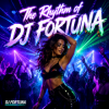 封面 DJ FORTUNA - The Rhythm of DJ FORTUNA DJ FORTUNA - The Rhythm of DJ FORTUNA