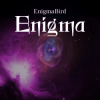 封面 EnigmaBird - Enigma EnigmaBird - Enigma