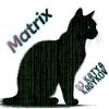 封面 DJ Katya Kadykov - Matrix (minatrix_edition) DJ Katya Kadykov - Matrix (minatrix_edition)