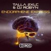 封面 Talla 2XLC & DJ Robyn - Endorphene Express (Extended Mix) Talla 2XLC & DJ Robyn - Endorphene Express (Extended Mix)