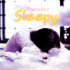 封面 EnigmaBird - Sleepy EnigmaBird - Sleepy