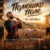 封面 DJ GUSLI - Полюшко-поле DJ GUSLI - Полюшко-поле