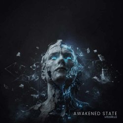 封面 ViTaLiKuS - Awakened State