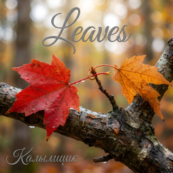 封面 Калымщик - Leaves