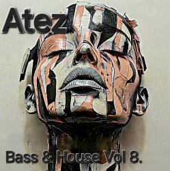 封面 Bass House Vol 8.