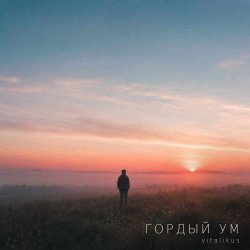封面 Гордый ум