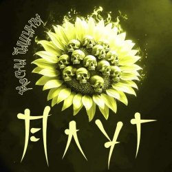 封面 Песни Тишины
