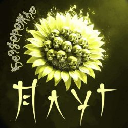封面 Бездорожье