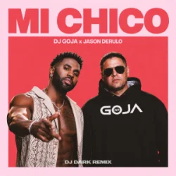 封面 Dj Goja & Jason Derulo - Mi Chico (Dj Dark Remix)