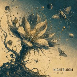 封面 ViTaLiKuS - NIGHTBLOOM