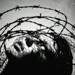 封面 LONOWN & Asenssia - addiction (Slowed)