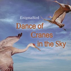 封面 Dance of Cranes in the Sky