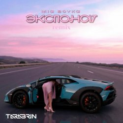 封面 Экспонат (TARABRIN Radio Remix)