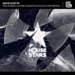 封面 The World Is Mine (Shnaps & Kolya Funk Remix)