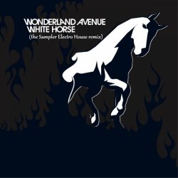封面 White Horse (the Sampler Electro House remix)
