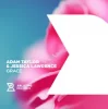 封面 Adam Taylor & Jessica Lawrence - Grace (Extended Mix) Adam Taylor & Jessica Lawrence - Grace (Extended Mix)