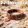 封面 DJ Shved&co - Бездомные псы DJ Shved&co - Бездомные псы