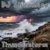 封面 DJ Shved&co - Thunderstorm DJ Shved&co - Thunderstorm
