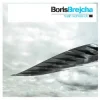 封面 Boris Brejcha - Flying Bird Boris Brejcha - Flying Bird