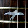 封面 Caged Rhythm - The Return (Original Mix) Caged Rhythm - The Return (Original Mix)