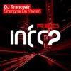 封面 DJ Tranceair - Shanghai De Yewan (Original Mix) DJ Tranceair - Shanghai De Yewan (Original Mix)