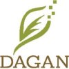 封面 Dagan - Focused Dagan - Focused