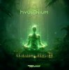 封面 Hydronium - Hydronium Ion (Original Mix) Hydronium - Hydronium Ion (Original Mix)