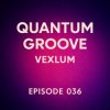 封面 Vexlum - Quantum Groove 036 Vexlum - Quantum Groove 036