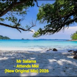 封面 Mr Salama - Attends Moi (New Original Mix) 2026​