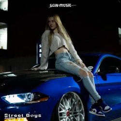 封面 ALEEX, DEENI - Street Boys