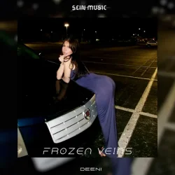 封面 DEENI - Frozen Nights