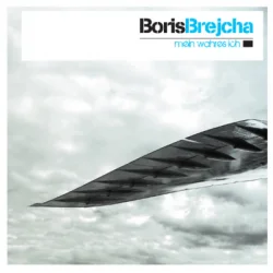 封面 Boris Brejcha - Flying Bird
