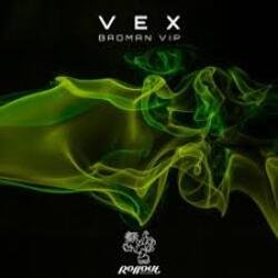 封面 VEX - Northern Funk (Leks Remix)