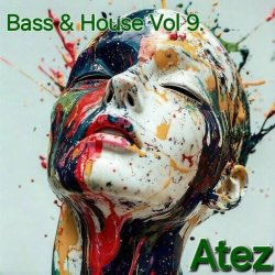 封面 Bass & House Vol 9.