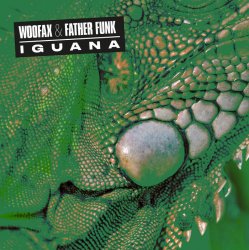 封面 Iguana - Illimani